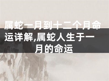 属蛇一月到十二个月命运详解,属蛇人生于一月的命运