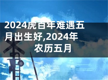 2024虎百年难遇五月出生好,2024年农历五月