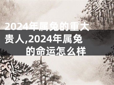 2024年属兔的重大贵人,2024年属兔的命运怎么样