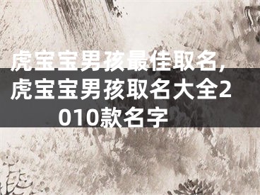 虎宝宝男孩最佳取名,虎宝宝男孩取名大全2010款名字