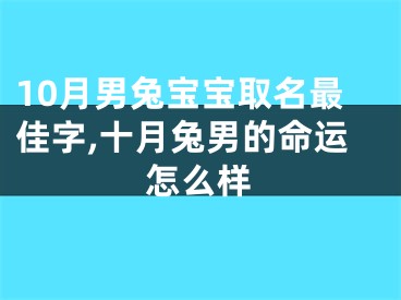 10月男兔宝宝取名最佳字,十月兔男的命运怎么样