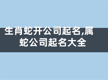 生肖蛇开公司起名,属蛇公司起名大全