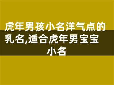 虎年男孩小名洋气点的乳名,适合虎年男宝宝小名