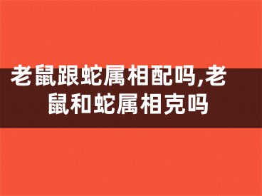 老鼠跟蛇属相配吗,老鼠和蛇属相克吗