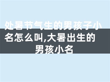 处暑节气生的男孩子小名怎么叫,大暑出生的男孩小名