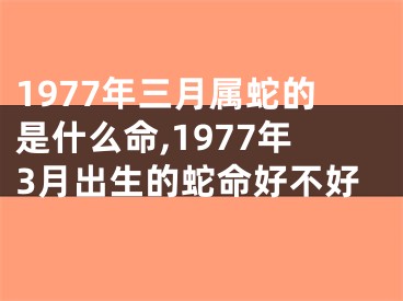 1977年三月属蛇的是什么命,1977年3月出生的蛇命好不好