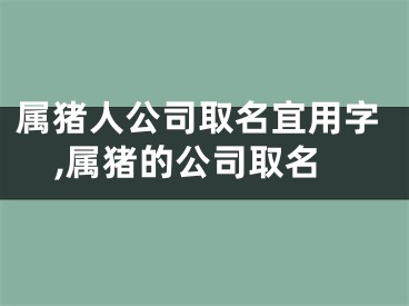 属猪人公司取名宜用字,属猪的公司取名