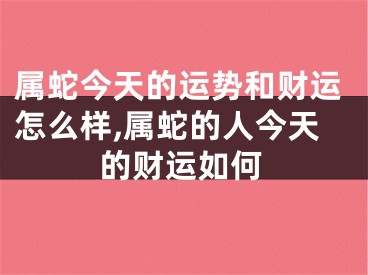属蛇今天的运势和财运怎么样,属蛇的人今天的财运如何