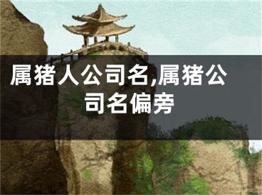 属猪人公司名,属猪公司名偏旁