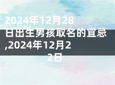 2024年12月28日出生男孩取名的宜忌,2024年12月22日