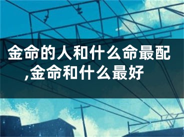 金命的人和什么命最配,金命和什么最好