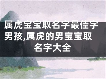 属虎宝宝取名字最佳字男孩,属虎的男宝宝取名字大全