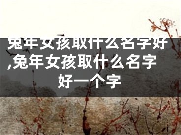 兔年女孩取什么名字好,兔年女孩取什么名字好一个字