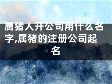 属猪人开公司用什么名字,属猪的注册公司起名