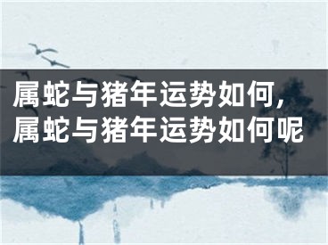 属蛇与猪年运势如何,属蛇与猪年运势如何呢