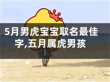 5月男虎宝宝取名最佳字,五月属虎男孩