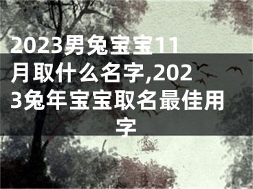 2023男兔宝宝11月取什么名字,2023兔年宝宝取名最佳用字