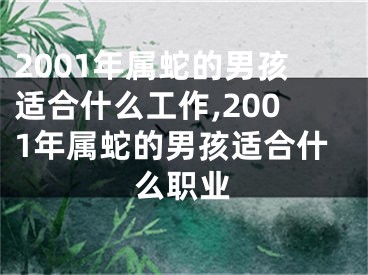 2001年属蛇的男孩适合什么工作,2001年属蛇的男孩适合什么职业