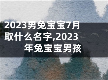 2023男兔宝宝7月取什么名字,2023年兔宝宝男孩
