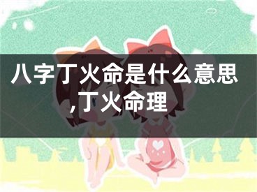 八字丁火命是什么意思,丁火命理
