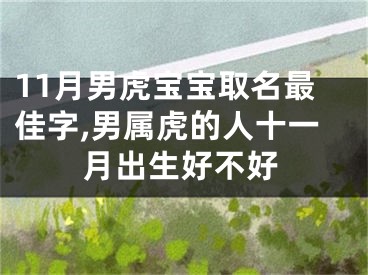 11月男虎宝宝取名最佳字,男属虎的人十一月出生好不好