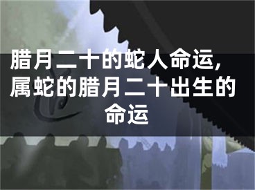 腊月二十的蛇人命运,属蛇的腊月二十出生的命运