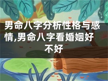 男命八字分析性格与感情,男命八字看婚姻好不好