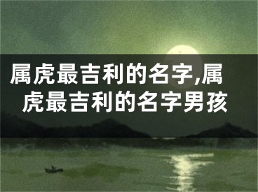 属虎最吉利的名字,属虎最吉利的名字男孩