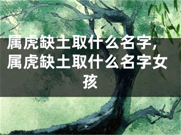 属虎缺土取什么名字,属虎缺土取什么名字女孩