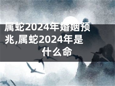 属蛇2024年婚姻预兆,属蛇2024年是什么命
