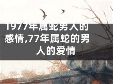 1977年属蛇男人的感情,77年属蛇的男人的爱情
