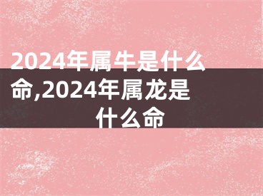 2024年属牛是什么命,2024年属龙是什么命