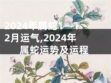 2024年属蛇1—12月运气,2024年属蛇运势及运程