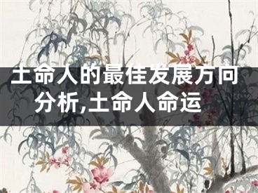 土命人的最佳发展方向分析,土命人命运