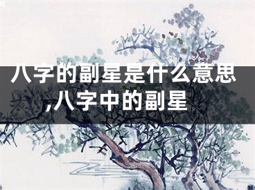 八字的副星是什么意思,八字中的副星