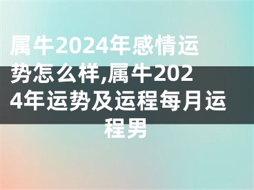 属牛2024年感情运势怎么样,属牛2024年运势及运程每月运程男
