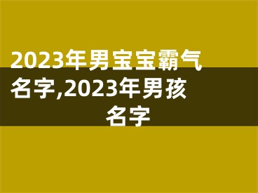 2023年男宝宝霸气名字,2023年男孩名字