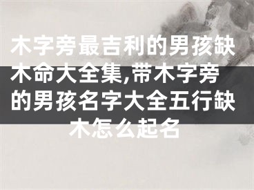 木字旁最吉利的男孩缺木命大全集,带木字旁的男孩名字大全五行缺木怎么起名