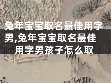 兔年宝宝取名最佳用字男,兔年宝宝取名最佳用字男孩子怎么取