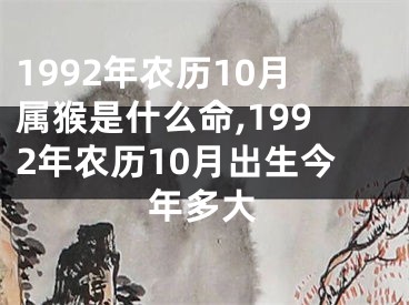 1992年农历10月属猴是什么命,1992年农历10月出生今年多大