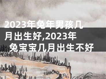 2023年兔年男孩几月出生好,2023年兔宝宝几月出生不好