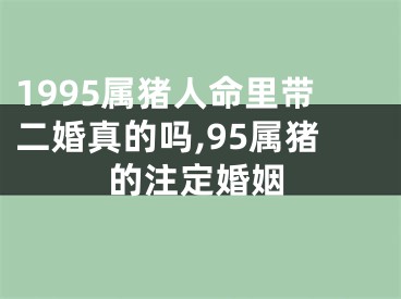 1995属猪人命里带二婚真的吗,95属猪的注定婚姻