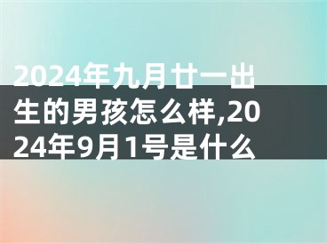 2024年九月廿一出生的男孩怎么样,2024年9月1号是什么