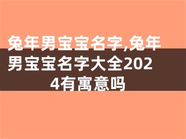 兔年男宝宝名字,兔年男宝宝名字大全2024有寓意吗
