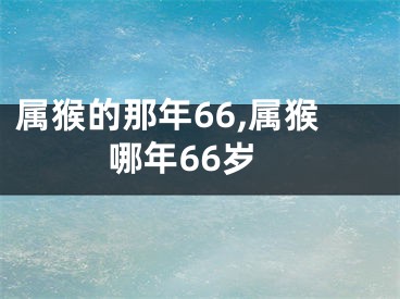 属猴的那年66,属猴哪年66岁