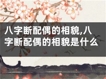 八字断配偶的相貌,八字断配偶的相貌是什么