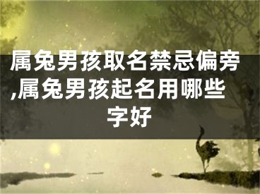 属兔男孩取名禁忌偏旁,属兔男孩起名用哪些字好