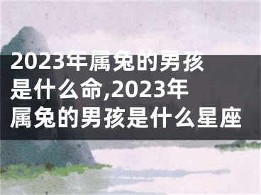 2023年属兔的男孩是什么命,2023年属兔的男孩是什么星座