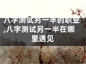 八字测试另一半的职业,八字测试另一半在哪里遇见