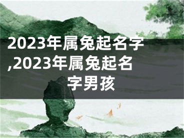 2023年属兔起名字,2023年属兔起名字男孩